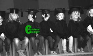 Gansies hou karnaval