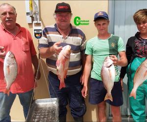 Kampioene stap glorieryk oor na 2017