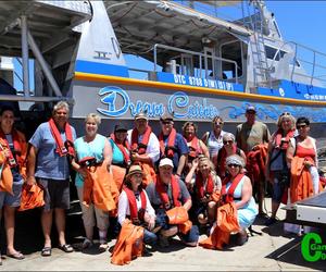 Rare sonvis opgemerk