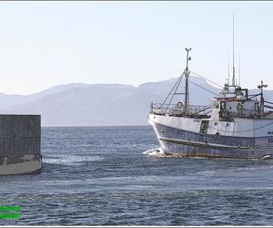 “U troue liefde is meer werd as die lewe” - Ons sê sommer net dankie