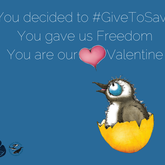 A message from all African penguins whom you afforded a second chance in life: "We declare our Valentine love for all those donors who showed us what love is all about. You gave us FREEDOM