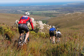 New Gansbaai Black Trails Attract Hardcore Mountain Bikers