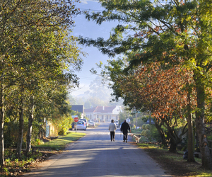Show your pet some love this International Pet Day
