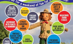 How to prepare for the Napier Patat Festival