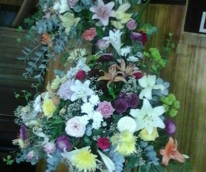 Groepsvorming teenoor eensgesindheid