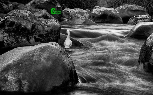 ‘n Uitstekende foto van lopende water wat deur Robert Johnson geneem is.  Hy het ure-lank halflyf in die water gestaan vir die regte oomblik. 