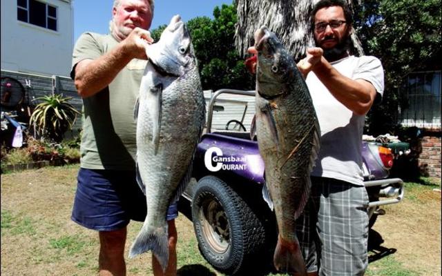 Die 2 steenbrasknewels op die foto is  deur Bennie Walker (links) en sy seun, Gerald van De Kelders uitgetrek.  Die twee manne het Sondag, 5 Februarie 2017 elk ‘n enorme steenbras met steurgarnale as aas by Die Plaat, De Kelders kant toe gebring. Pa Bennie spog met ‘n 9kg steenbras en seun Gerald met ‘n 8kg steenbras.  Dit is die eerste steenbras van hierdie grootte wat die jongman gevang het. ​