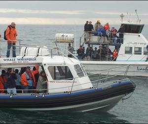 Birkenhead Commemoration