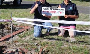 Dikkoppies word onder vlerk geneem