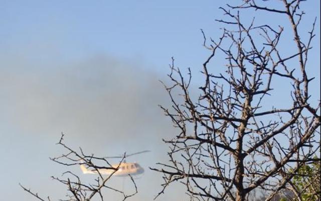 GansbaaiVeldbrandeDeKelders3