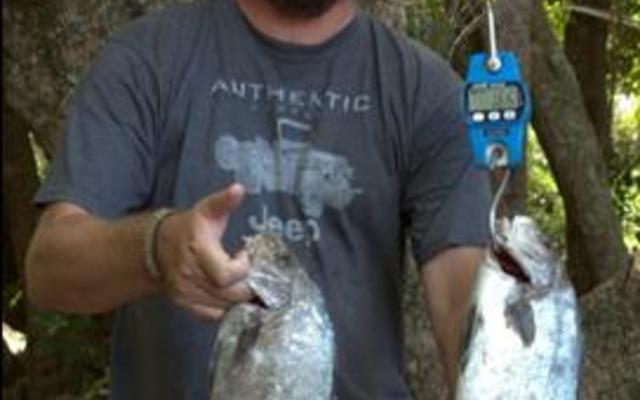 Arno van der Merwe, die Wenner van die Dag, tydens Februarie se kompetisie met sy Bellmanne wat hy gevang het.