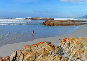 Hermanus through the eyes of Locals