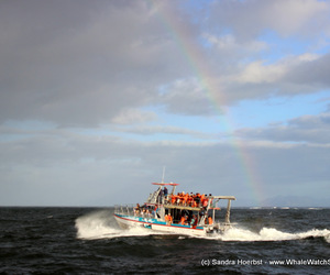 HMS Birkenhead Commemoration 26 February 2017
