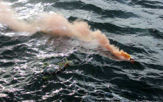 20170225_DC_Trip_SHoerbst_IMG_42