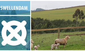 Swellendam - Home of Heritage and Natural Beauty