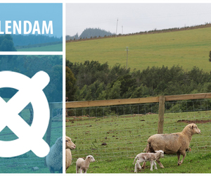 Swellendam - Home of Heritage and Natural Beauty