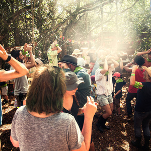 Join the Reforest Fun!