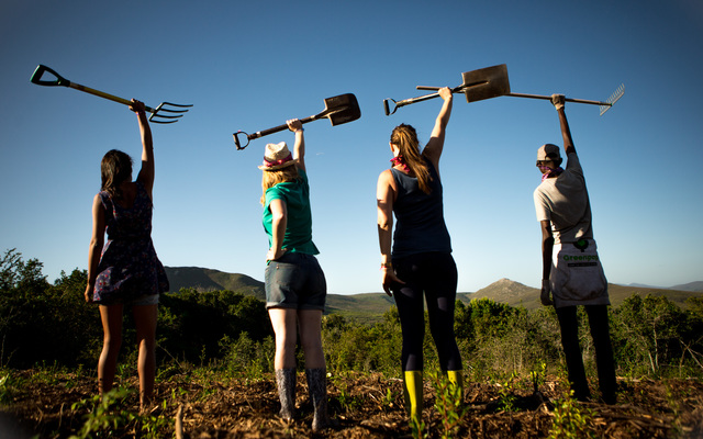 Join the TREEvolution!