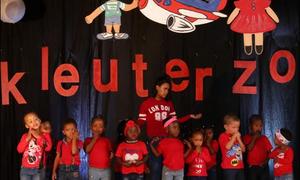 Kamera - aksie ! Strandlopertjies word TV-sterre