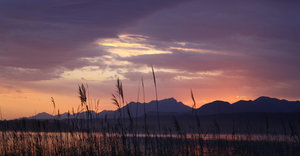 Greyton through the eyes of Locals – Photo Journey