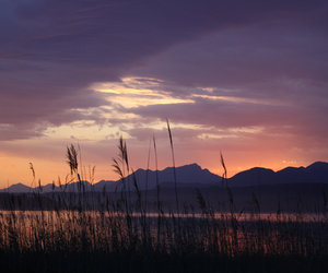 Greyton through the eyes of Locals – Photo Journey