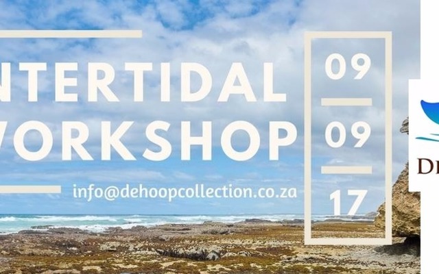 Intertidal Workshop (9 September 2017) Intertidal Workshop (9 September 2017)