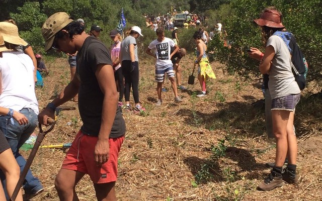 IMG_20170322_WA0003 IMG_20170322_WA0003