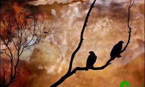 Fotograwe geniet hul uitstappie