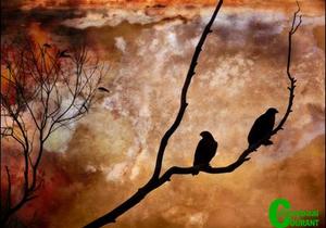 Fotograwe geniet hul uitstappie