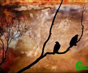 Fotograwe geniet hul uitstappie