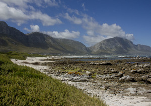 Bed & Breakfasts in Betty’s Bay