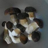 Porcini Mushrooms