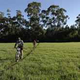 Patatfees Footage 2016