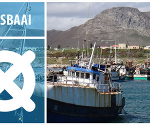 Gansbaai – An Outdoor Adventure
