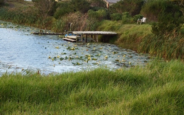 Jetty at the Arum Lily's dam Jetty at the Arum Lily's dam