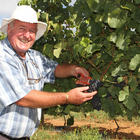 Paul Wallace Wines Paul Wallace Wines