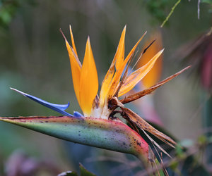 Upcoming Events in Swellendam