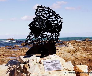 Marine Dynamics unveils artwork Kings Of The Sea