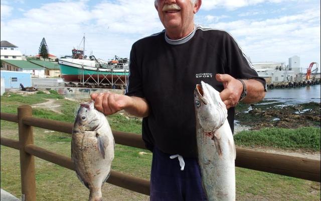 Sampie Lauwrens, ‘n nuwe klublid by Birkenhead Bootklub, het met sy eerste deelname aan ‘n klubkompetisie die swaarste vis vir die dag ingeweeg. Hier glimlag die afgetrede groente-boer met ‘n geelbek van 2.9kg en een van die hotnotvisse wat hy kant toe gebring het.  