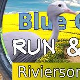 Blue Crane Run and Ride