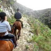 Heaven & Earth Horse Riding Trails