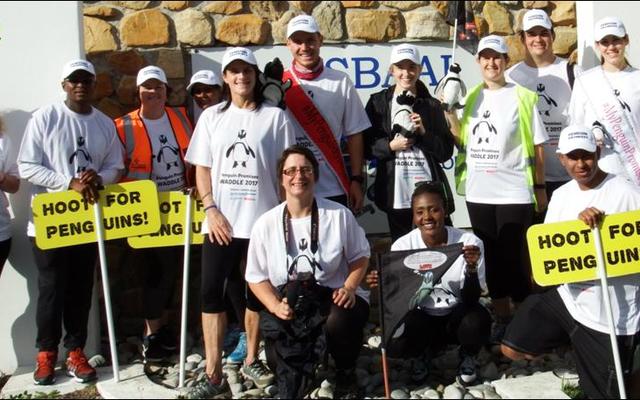 Die oomblik van waarheid het aangebreek. ‘n Laaste foto van die amptelike stappers vir die “Penguin Promises Waddle for a Week”, voordat die 120 kilometer oor ‘n tydperk van 6 dae na Boulders Beach by Simonstad aangepak is.