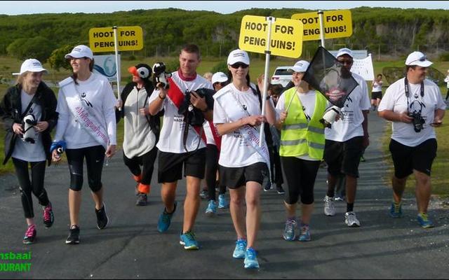 “Laat die pret begin!” met die amptelike Pikkewynstappers voor, waar die staptog by die African Penguin and Seabird Sanctuary in Kleinbaai begin het.