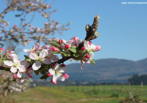 Curious Destinations in Villiersdorp