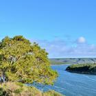 De Hoop Collection - Nature & Marine Reserve De Hoop Collection - Nature & Marine Reserve