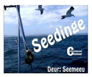 Voertuig beskadig? Doen die regte ding.