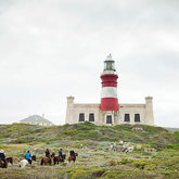 African Horse Company Part 4