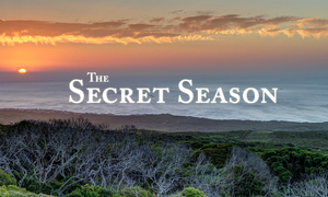 Introduction to Grootbos Secret Season (May to July)