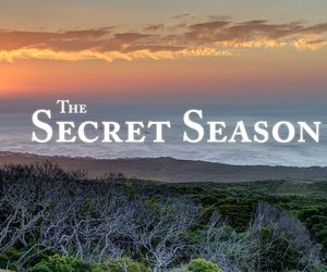 Introduction to Grootbos Secret Season (May to July)
