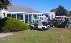 2017 Membership Fees for The Gansbaai Golf Club in the Overberg